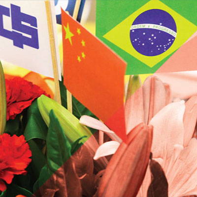 Folder Eventos Cocar